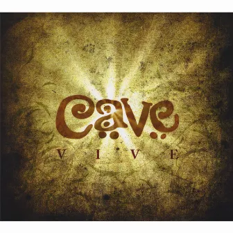 Vive by Cave