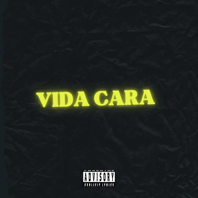 Vida cara