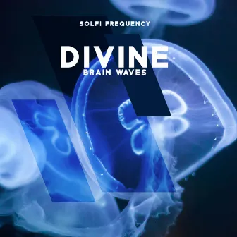 Divine Brain Waves: Dna Repair & Healing, Nerve And Cell Regeneration by Solfi Frequency