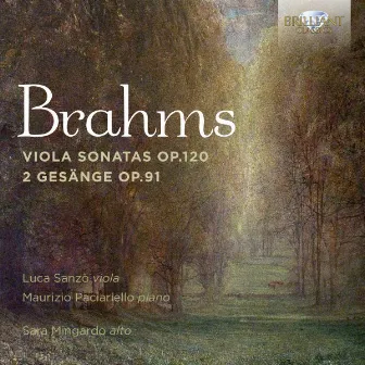 Brahms: Viola Sonatas, Op. 120, 2 Gesänge, Op. 91 by Luca Sanzò