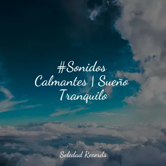 #Sonidos Calmantes | Sueño Tranquilo by Masajes Spas