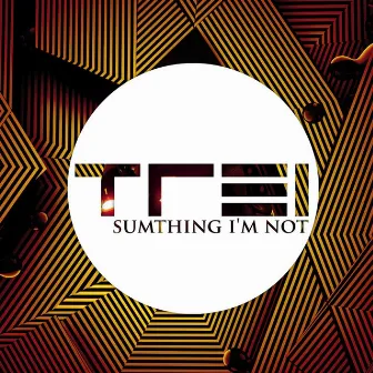 Sumthing I'm Not by Trei