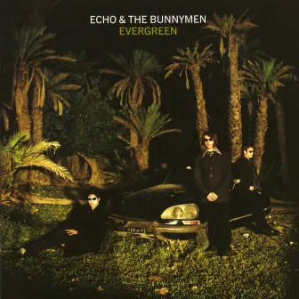 Evergreen (Expanded) by Echo & the Bunnymen