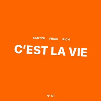 C'est La Vie by Santzu