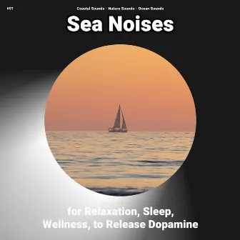 #01 Sea Noises for Relaxation, Sleep, Wellness, to Release Dopamine by Coastal Sounds