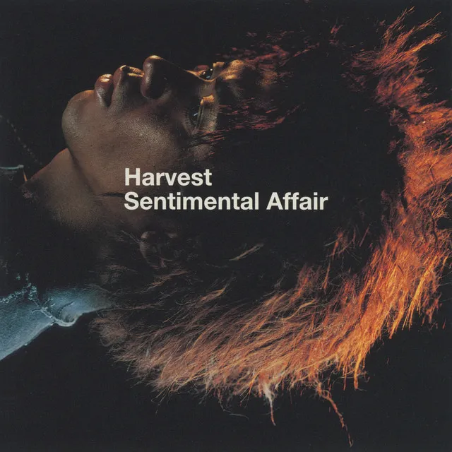 Sentimental Affair