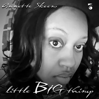 Little Big Things by Annette Skeens