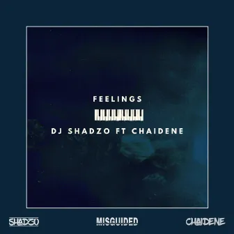 Feelings by Dj Shadzo