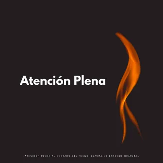 Atención Plena Al Costado Del Fuego: Llamas De Enfoque Binaural by Cámara de enfoque