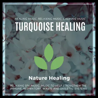 Turquoise Healing (Healing Music, Relaxing Music, Calming Music, Relaxing Spa Music, Music To Help Strengthen The Immune, Respiratory, Waste And Skeletal Systems by Ambient 11