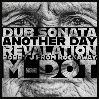 Another Day by Dub Sonata