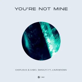 You're Not Mine by Charles B