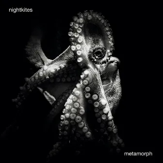 Metamorph by Nightkites