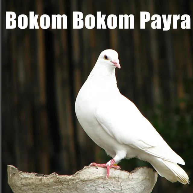 Bokom Bokom Payra