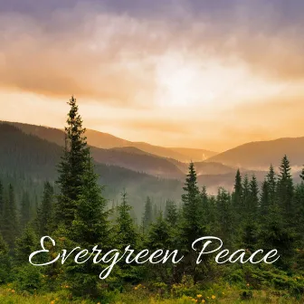 Evergreen Peace by Hoboken