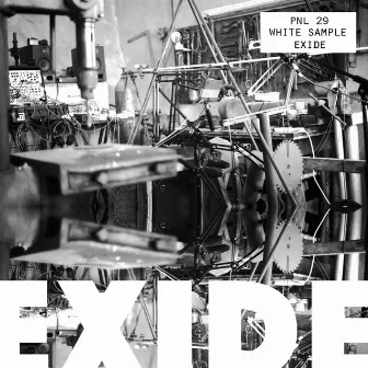 Exide by White Sample