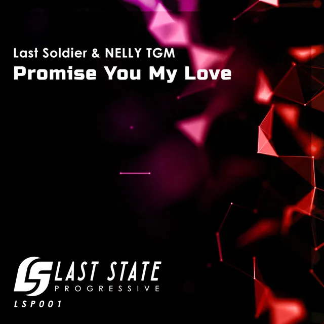 Promise You My Love - Radio Edit