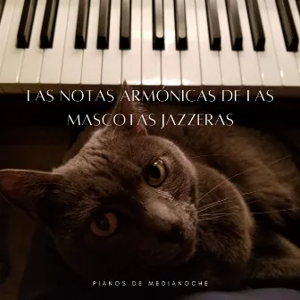 Pianos De Medianoche: Las Notas Armónicas De Las Mascotas Jazzeras by Lista de reproducción de jazz moderno