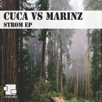 Strom by Cuca