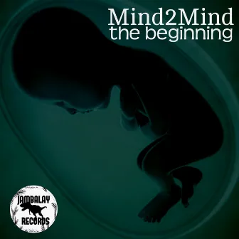 The Beginning by Mind2Mind