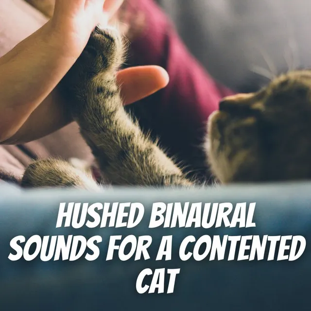 Hushed Binaural Sounds for a Contented Cat