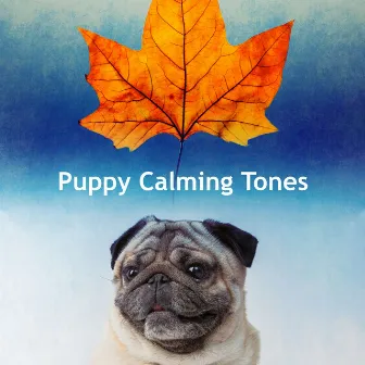 Puppy Calming Tones by Dog's Music