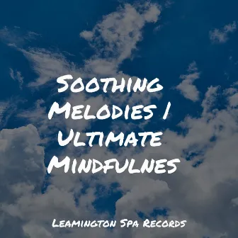 Soothing Melodies | Ultimate Mindfulness by Academia de Música para Massagem Relaxamento