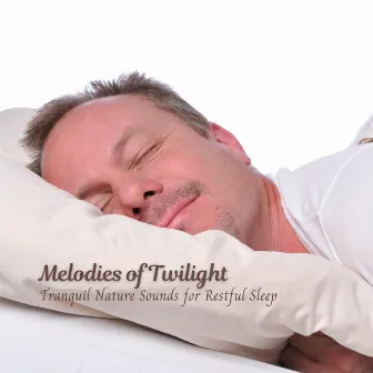 Melodies of Twilight: Tranquil Nature Sounds for Restful Sleep by Sleepy World