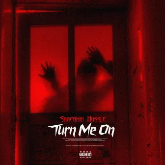 Turn Me On by Skreamin Hussle