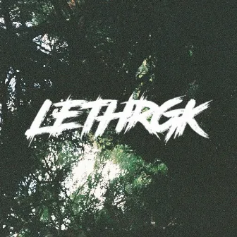 Talk to Frank (Instrumental) by Lethrgk