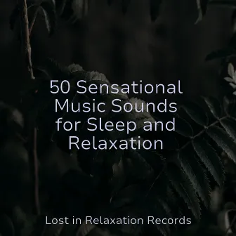 50 Sensational Music Sounds for Sleep and Relaxation by Lullabies for Deep Meditation