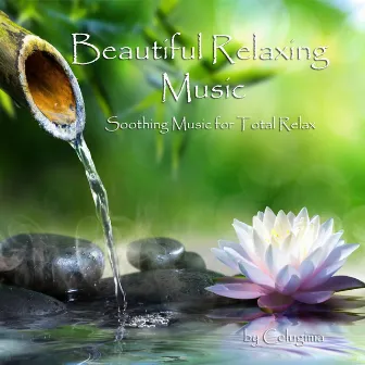 Beauiful relaxing music (Soothing music for total relax) by Celugima