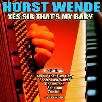 Yes Sir That's My Baby by Horst Wende