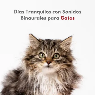 Días Tranquilos Con Sonidos Binaurales Para Gatos by Gato Música Relajación