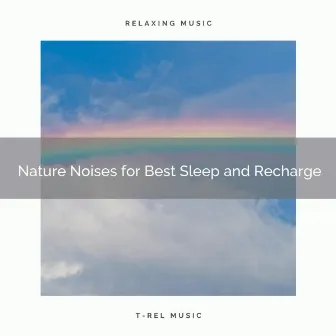 Nature Noises for Best Sleep and Recharge by Foresty Ambient Noises