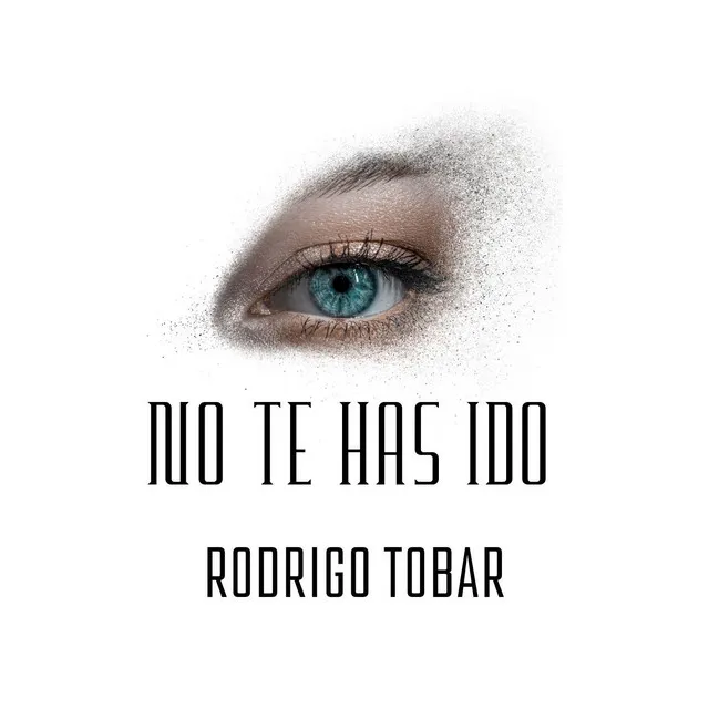 No te has ido