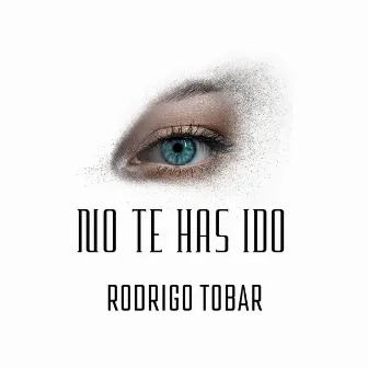 No te has ido by Rodrigo Tobar