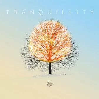 Tranquillity (Alternative Version) by Brian Finnegan