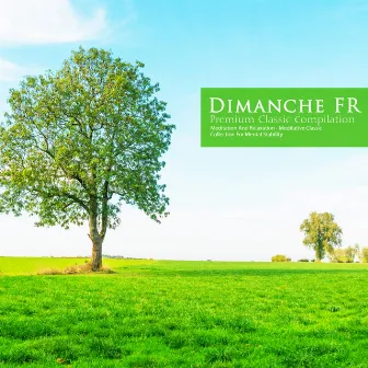 Meditative Classical Collection for Mental Stability by Dimanche FR