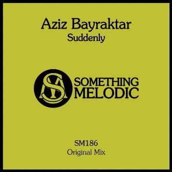 Suddenly by Aziz Bayraktar