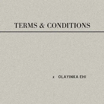 Terms and Conditions by olayinka ehi