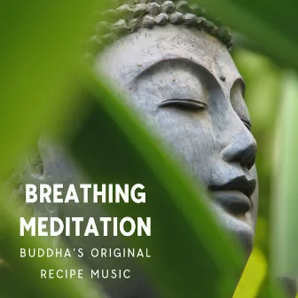 Breathing Meditation: Buddha’s Original Recipe Music, Full Body and Repairs DNA Healing Code by Unknown Artist