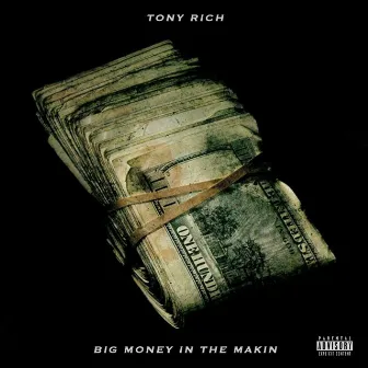 Big Money in the Makin' by Tony Rich