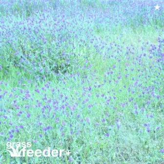 grassfeeder by star૮ ˶ᵔ ᵕ ᵔ˶ ა✩