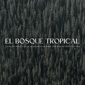 El Bosque Tropical: La Mejor Música De La Selva Tropical Para Una Relajación Profunda by El colectivo de la selva tropical