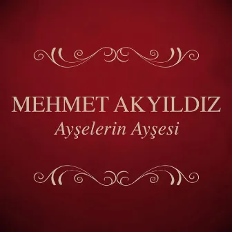 Ayşelerin Ayşesi by Mehmet Akyıldız