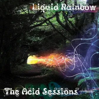 The Acid Sessions, Vol. 3 by Liquid Rainbow