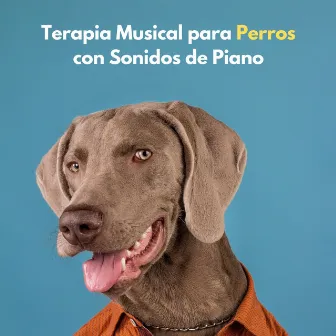 Terapia Musical Para Perros Con Sonidos De Piano by Salón de jazz de Chicago