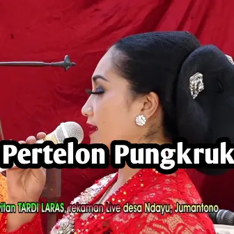 Pertelon Pungkruk by Erin Sabrina