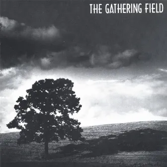 The Gathering Field by Gathering Field